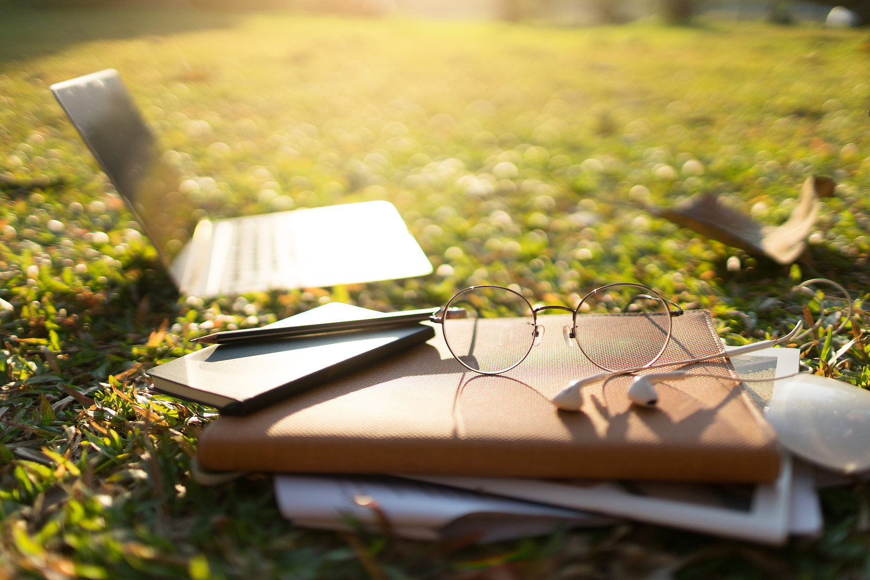 在校学生与应届毕业生